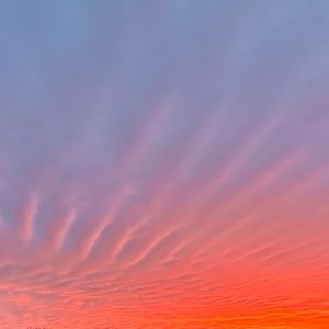 Meet your Posher, Sky